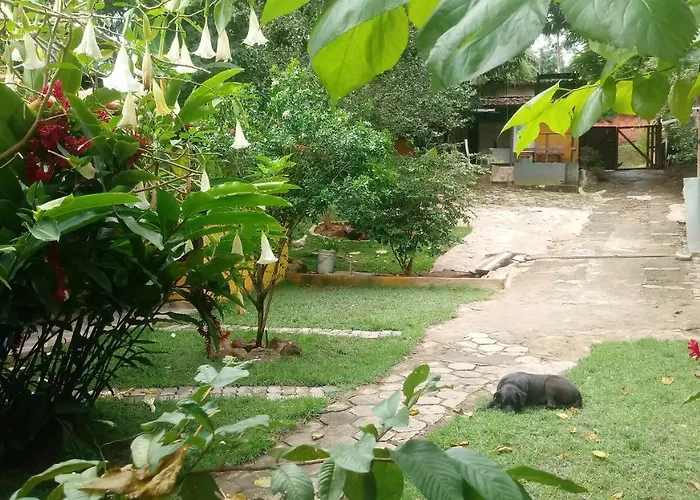 Mini Sitio Da Cachoeira